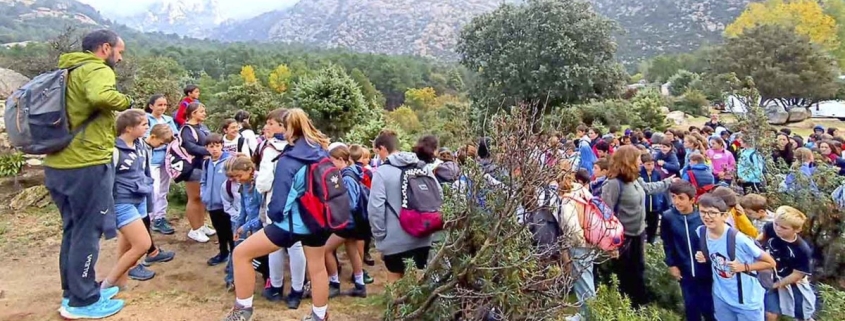 Sesión formativa en competencias digitales en un colegio bilingüe Madrid con trabajo colaborativo.
