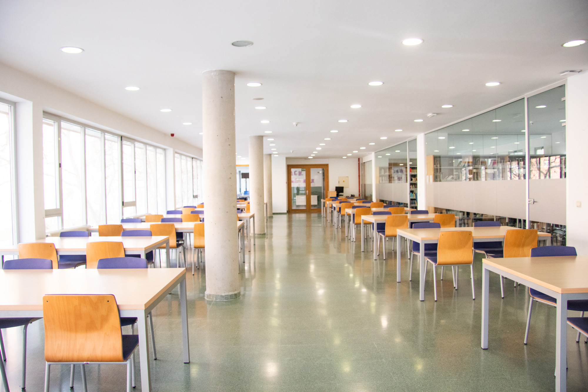 Zona de lectura y estudio en la biblioteca del colegio concertado Madrid, diseñada para fomentar el hábito lector.