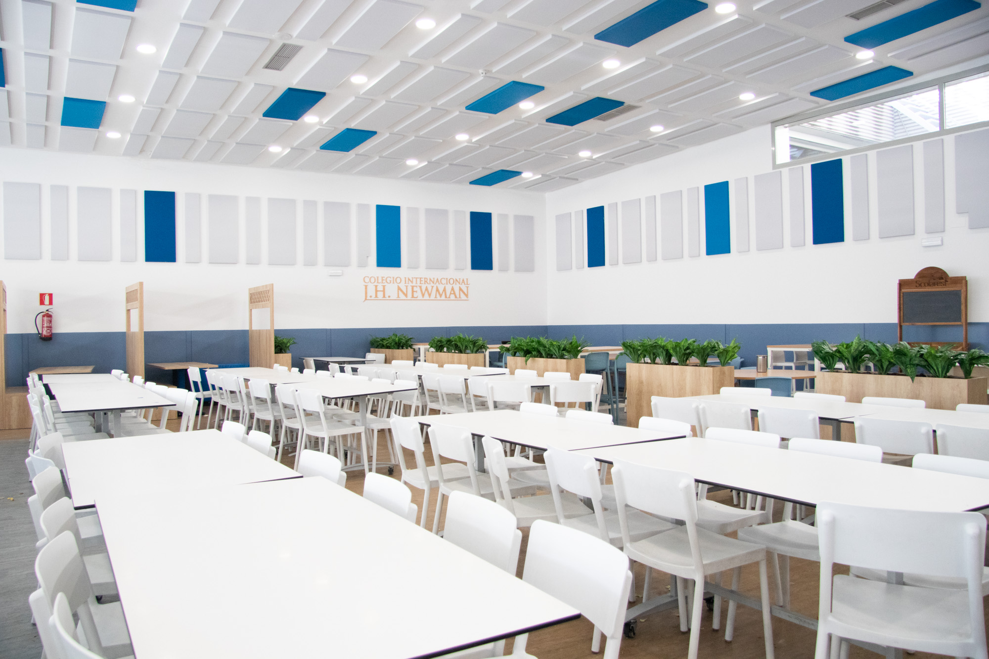 Comedor renovado de las instalaciones del Colegio Internacional J. H. Newman con mobiliario moderno y paneles acústicos.