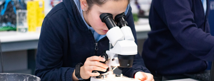 Alumna observando muestras científicas al microscopio en una práctica del colegio internacional madrid.